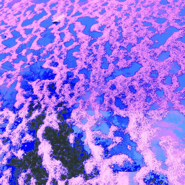 JOHN DWYER (OH SEES), RYAN SAWYER, GREG COATES, ANDRES RENTERIA and WILDER ZOBY - Gong Splat Sessions 2LP (colour vinyl)