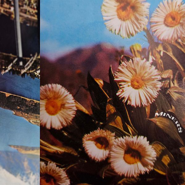 MINERS - A Healthy Future On Earth LP