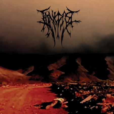 EDENIC PAST - Red Amarcord LP