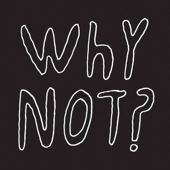 HALF JAPANESE - Why Not? LP