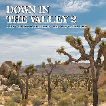 v/a- DOWN IN THE VALLEY Vol. 2 LP