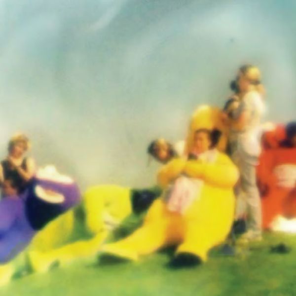 208L CONTAINERS - Soft Monstrous Masses LP