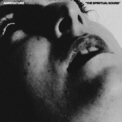 * PREORDER * AGRICULTURE - The Spiritual Sound LP (colour vinyl)