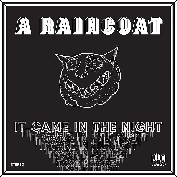 A RAINCOAT - It Came In The Night 7"