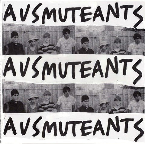 AUSMUTEANTS - Amusements LP