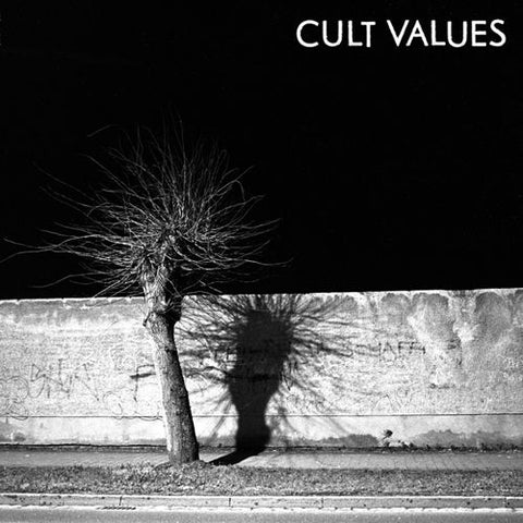 ** FLASH SALE ** CULT VALUES - s/t LP