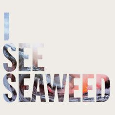 * PREORDER * DRONES - I See Seaweed 2LP