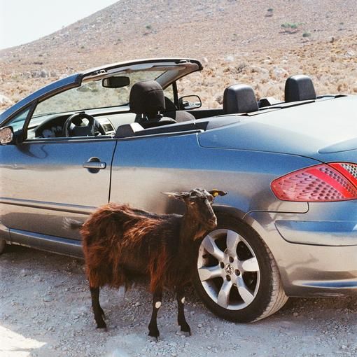 * PREORDER * EXEK - Prove The Mountains Move LP