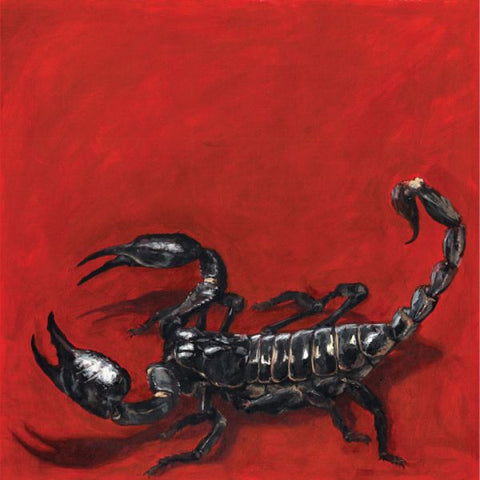 * PREORDER * FIELD OF FEAR - Scorpion LP (colour vinyl)