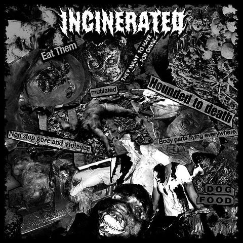 INCINERATED / DETERIORATION split 7"