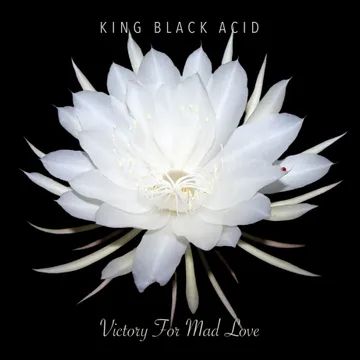 KING BLACK ACID - Victory For Mad Love LP (RSD 2024)