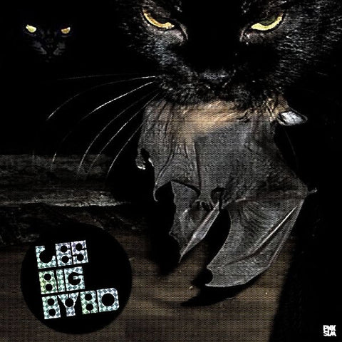 LES BIG BYRD - Roofied Angels 12"