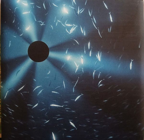 MIDNIGHT ZONE OST by Laurel Halo LP