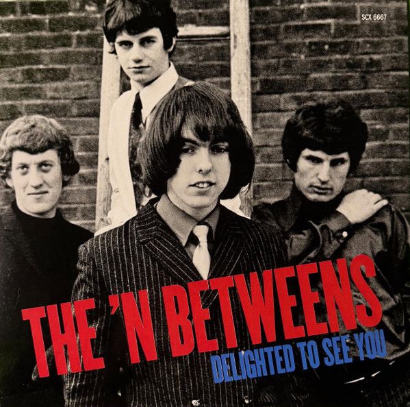 N' BETWEENS - Delighted To See You LP