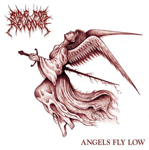 * PREORDER * RIDE FOR REVENGE - Angels Fly Low LP