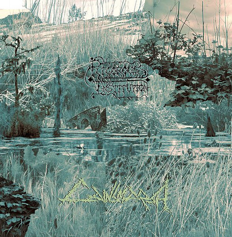 ** FLASH SALE ** RIGOROUS INSTITUTION - Cainsmarsh LP