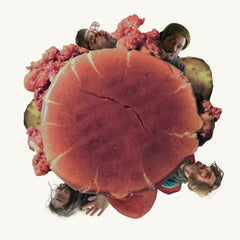 TIN FOIL - Chicken Sandwich LP