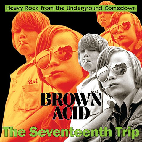 v/a- BROWN ACID: THE SEVENTEENTH TRIP LP
