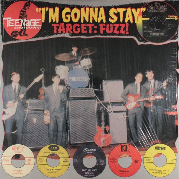 v/a- TEENAGE SHUTDOWN: I'm Gonna Stay LP