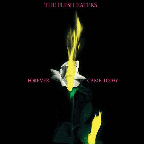 FLESH EATERS - Forever Came Today LP