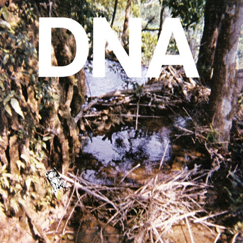 DNA - A Taste Of Dna 12"