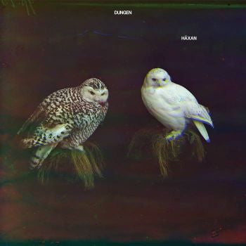 DUNGEN - Haxan LP