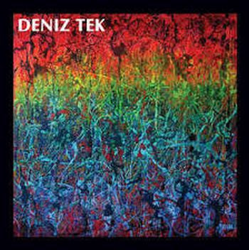 DENIZ TEK - Mean Old Twister LP
