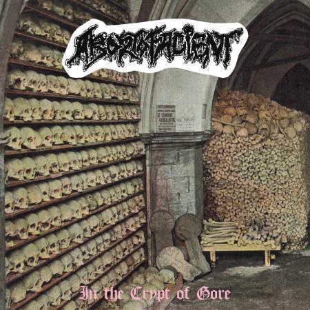ABORTOFACIENT - In The Crypt Of Gore LP (colour vinyl)