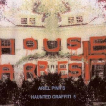 ** FLASH SALE ** ARIEL PINK - House Arrest 2LP
