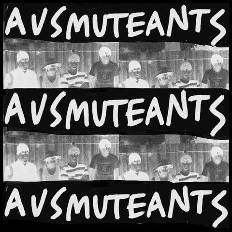 AUSMUTEANTS - Amusements LP