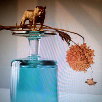 ** FLASH SALE ** BEIRUT - Gallipoli LP (colour vinyl)