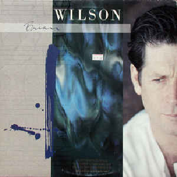 BRIAN WILSON - s/t LP