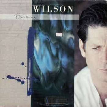 ** FLASH SALE ** BRIAN WILSON - s/t LP