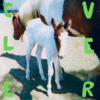 CLEVER - Hangin Egg LP