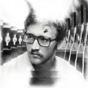 DAMAGED BUG - Bug On Yonkers LP
