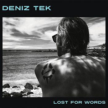 DENIZ TEK - Lost For Words LP