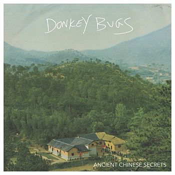 DONKEY BUGS - Ancient Chinese Secrets LP