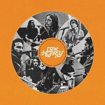 DRUGDEALER - Raw Honey LP