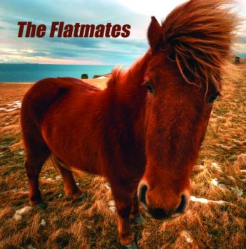 FLATMATES - s/t LP