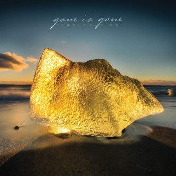 GONE IS GONE - Echolocation LP
