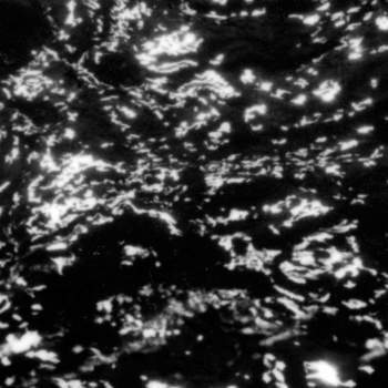 GROUPER - A I A : Dream Loss LP