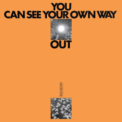 JEFRE CANTU-LEDESMA & ILYAS AHMED - You Can See Your Own Way Out LP (colour vinyl)