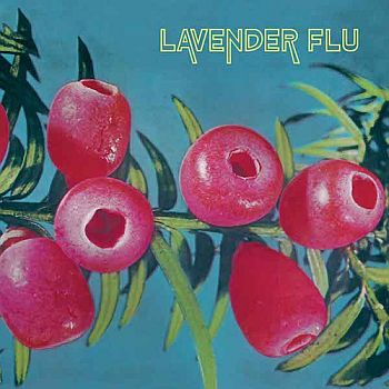 ** FLASH SALE ** LAVENDER FLU - Mow The Glass LP / CD