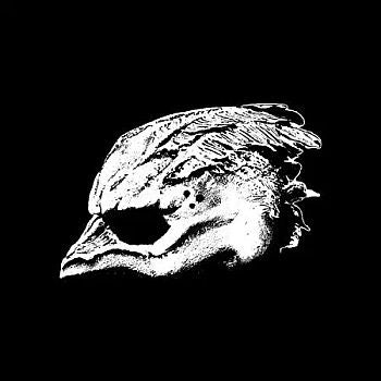 LEGEND OF THE SEAGULLMEN - s/t LP