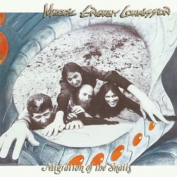 ** FLASH SALE ** MELODIC ENERGY COMMISSION - Migration of the Snails LP