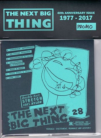 NEXT BIG THING no.28 ZINE (with bonus 7")