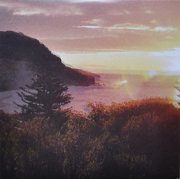 OCEAN PARTY - Beauty Point LP