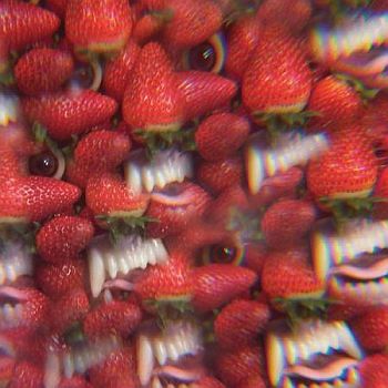 OH SEES - Floating Coffin LP