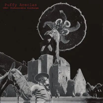 PUFFY AREOLAS - 1982: Dishonorable Discharge LP