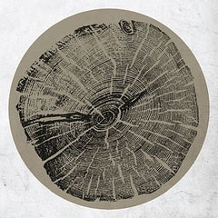 ROY MONTGOMERY - H: Bender LP